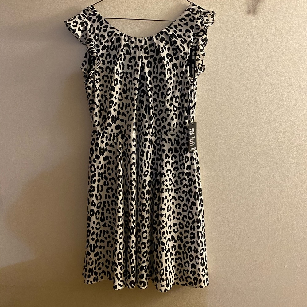 Express Fit & Flare Dress